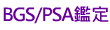 BGS/PSAŲ�w